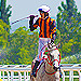 Click here to view live events at Dania Jai Alai