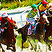 Click here to view live horse racing events at Lebanon Raceway