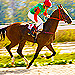 Click here to view live harness racing events at Monticello Raceway