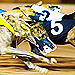 Click here to view live greyhound racing events at Tucson Greyhound Park